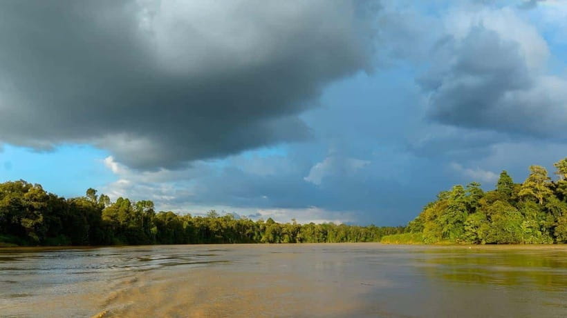 Sandakan: 2 Days 1 Night Bilit, Kinabatangan River Wildlife - Packing for heat, rain, and insects