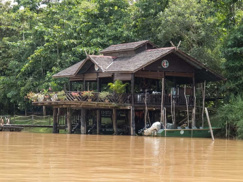 Sandakan: 3D2N The Wild Heart of Borneo River Secrets - Key points to know before booking