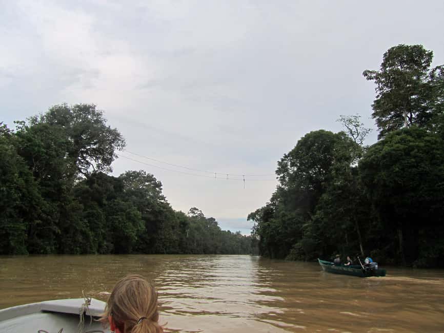 Sandakan: Gomantong Cave Echoes & Kinabatangan River Safari - Why Gomantong Cave is more than a quick photo stop
