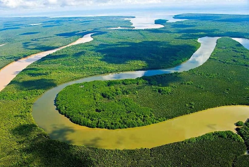 Sandakan: Kinabatangan River Wildlife Cruise with Lunch - The Kinabatangan River is the reason to go