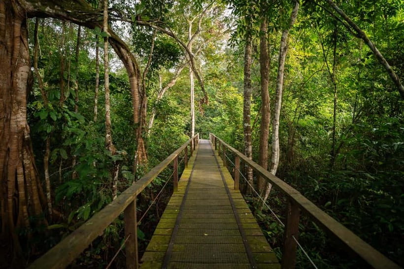 Sandakan: Kinabatangan River Wildlife Cruise with Lunch - Two hours on the Kinabatangan River