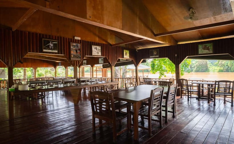 Sandakan: Kinabatangan River Wildlife Cruise with Lunch - Who will enjoy this tour most
