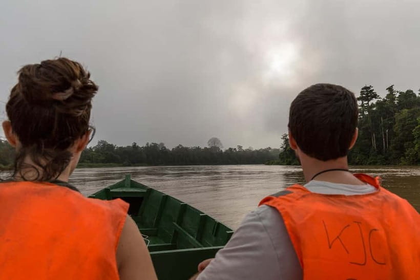 Sandakan: Sukau Rainforest Wildlife Journey & Dawn Cruises - Why the Kinabatangan River matters