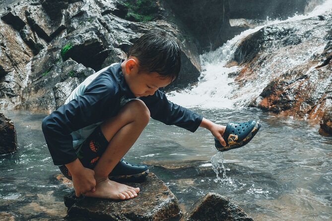 Secluded Waterfall Adventure - The 45-minute walk into the forest