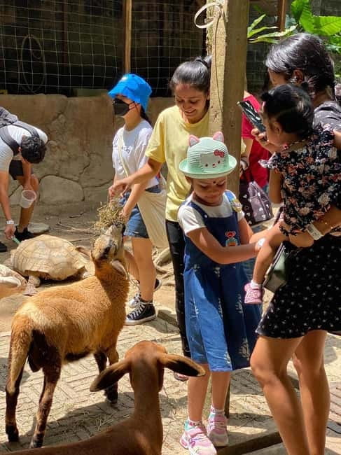 Selangor: Farm In The City Entry Ticket - Key points to know before you go
