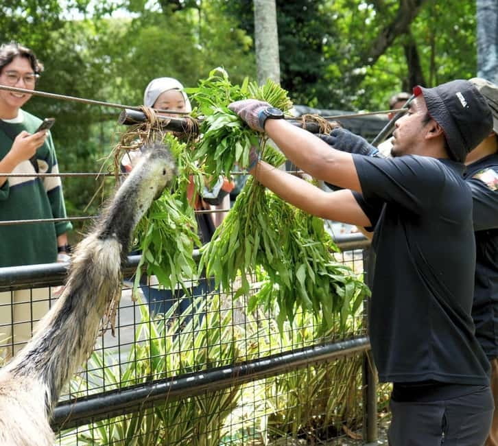 Selangor: Zoo Negara E-Ticket - Five useful things to know before you go