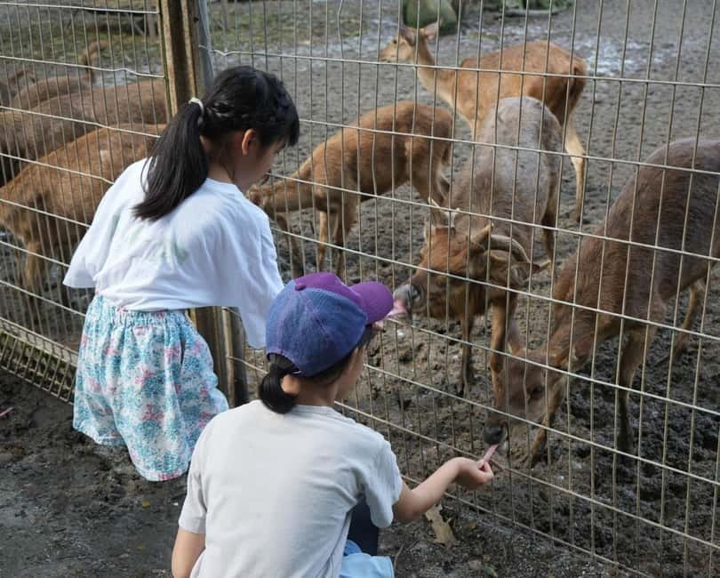 Selangor: Zoo Negara E-Ticket - Start early at Zoo Negara’s 9 AM opening