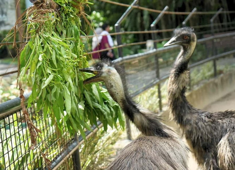Selangor: Zoo Negara E-Ticket - Family areas add variety beyond the animal enclosures