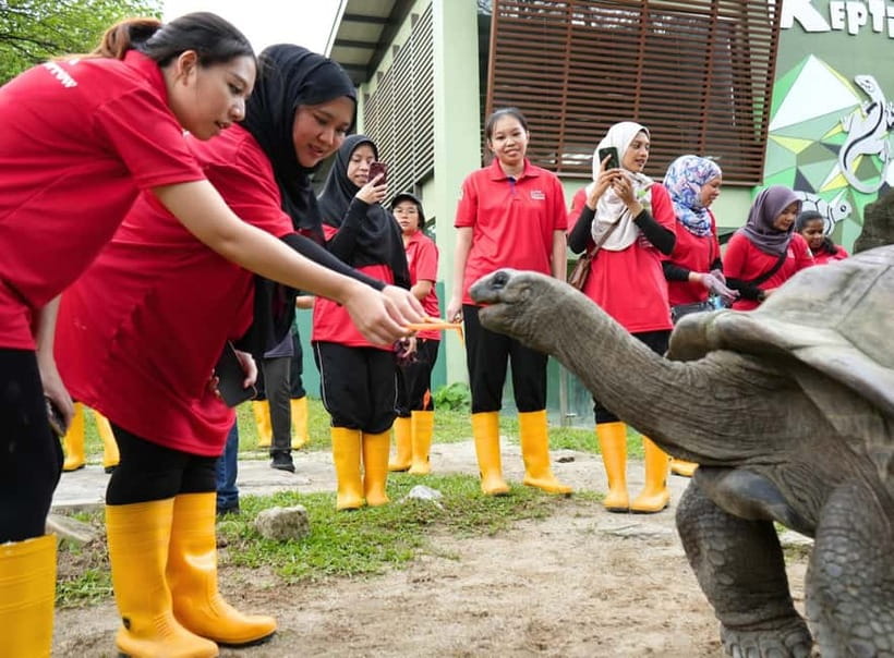 Selangor: Zoo Negara E-Ticket - Make the Giant Panda Conservation Centre your first major stop