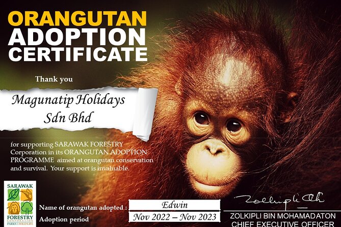 Semenggoh Orangutan Center & Sarawak Cultural Village - Two sides of Sarawak in one eight-hour day