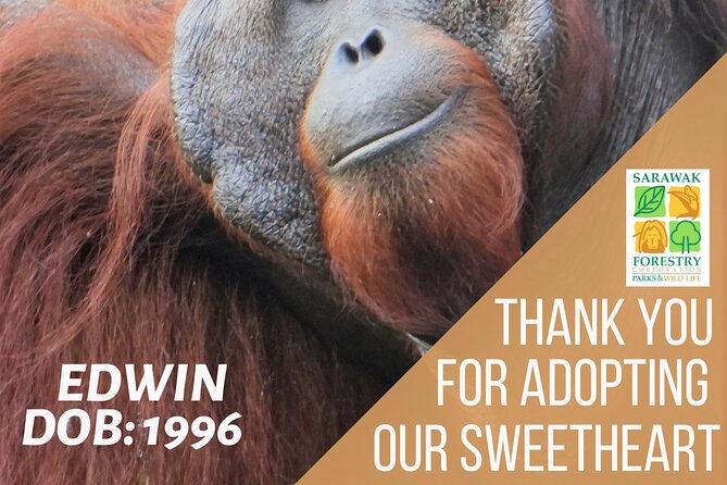 Semenggoh Orangutan Centre from Kuching - Is $66 a fair price?
