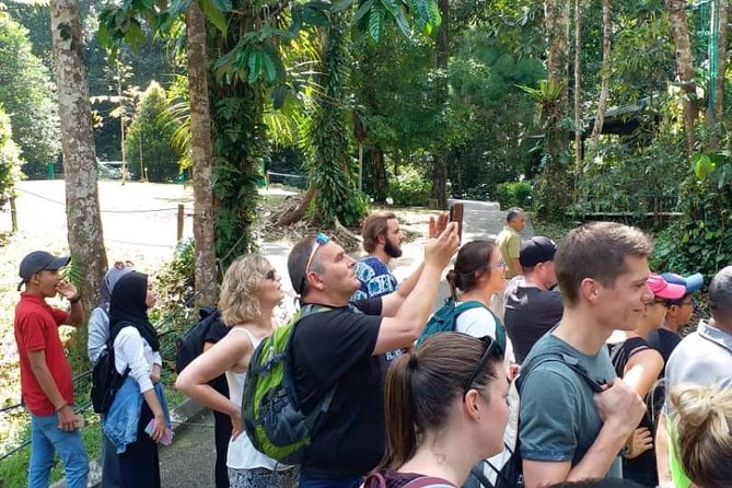 Semenggoh Orangutan Centre from Kuching - Walking through the rainforest to the feeding platform