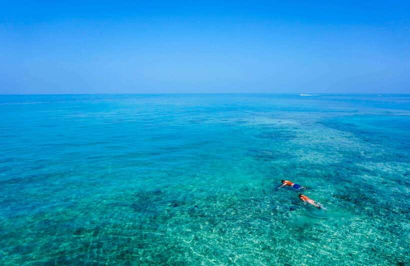 Semporna: Explore 3 Islands Tour Snorkel or Dive & Lunch - Who should choose snorkeling, and who should choose DSD scuba?