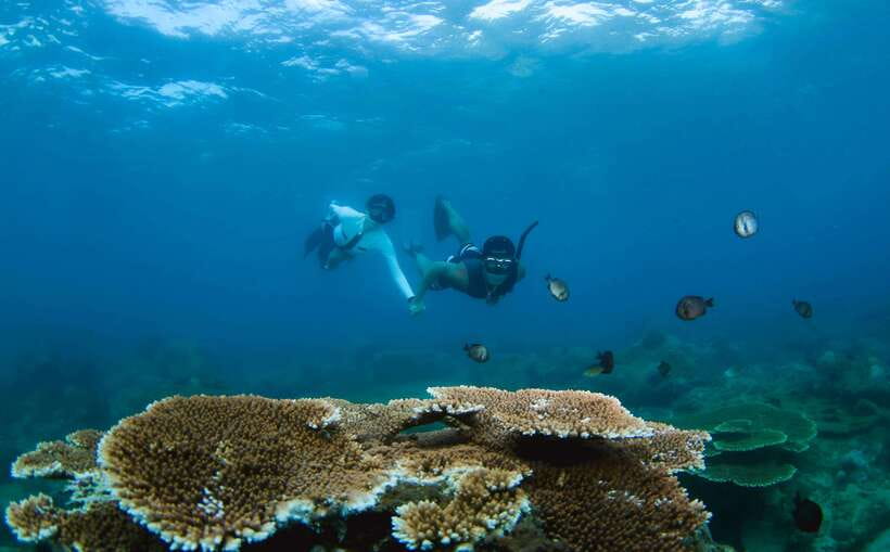 Semporna: Explore 3 Islands Tour Snorkel or Dive & Lunch - Timba Timba: first water stop