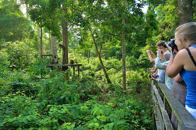 Sepilok Orang Utan & Bornean Sun Bear Centre with Sandakan City Tour with Lunch - Why Sepilok is the heart of the day