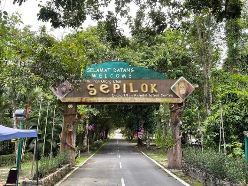 Sepilok OrangUtan, Sun Bear & Labuk Bay Full Day Trip - Why this Borneo wildlife day works well