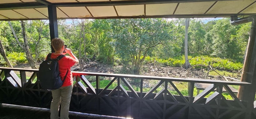 Sepilok OrangUtan, Sun Bear & Labuk Bay Full Day Trip - What $239 really buys you