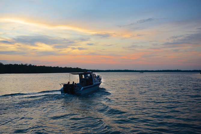 Shared Mangrove & Irrawaddy Dolphin Watching Cruise - Why the Santubong River is worth your morning