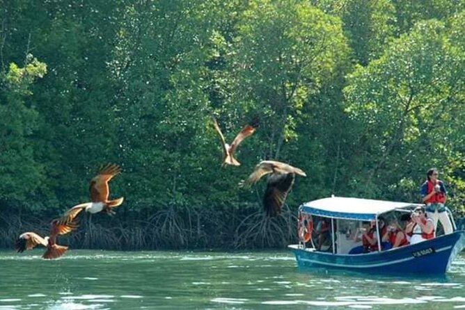 Sharing Half Day Kilim Geoforest Park Mangrove Boat Tour - The floating fish farm is more than a lunch stop
