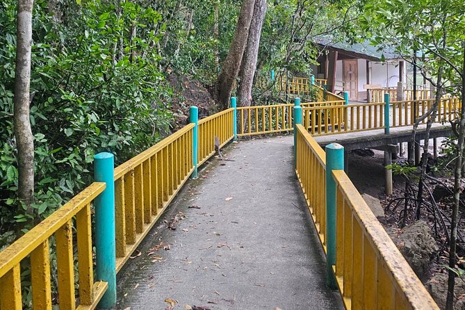 Sharing Half Day Mangrove Boat Tour With Lunch in Langkawi - Crocodile Cave and Gua Buaya