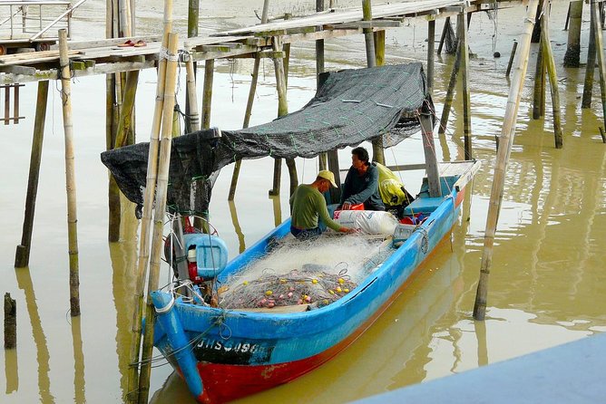 Silver Leaf Monkeys and Firefly Tour with Boat Ride and Seafood Dinner - Bukit Melawati and the silver leaf monkeys