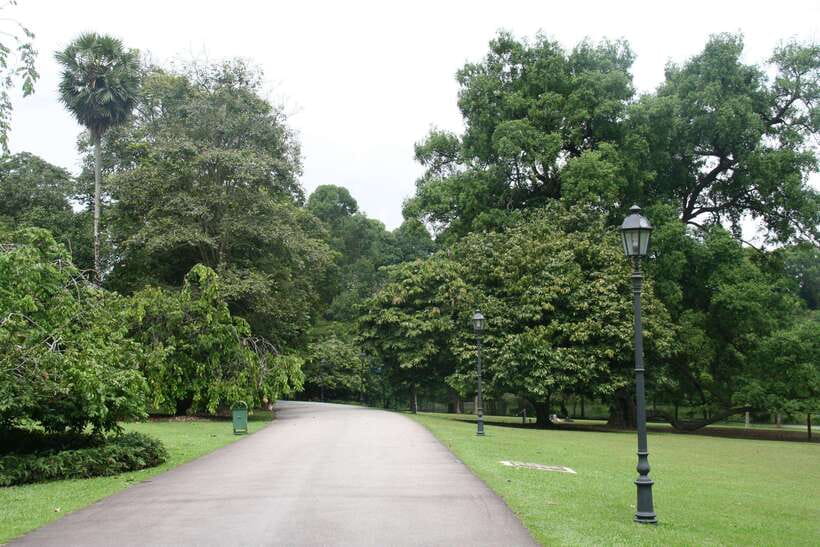 Singapore: Private Tour with a Local Guide - Jewel Changi Airport is useful for a short visit