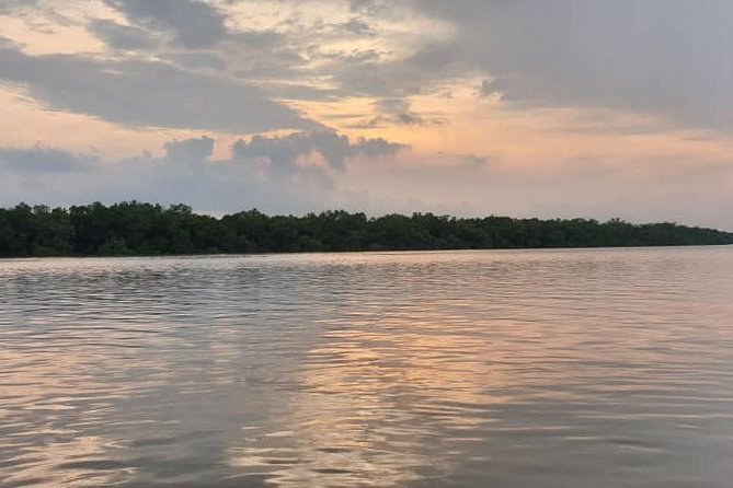 Sky Mirror Experience at Kuala Selangor from Kuala Lumpur - The Official Jetty and the Boat Ride