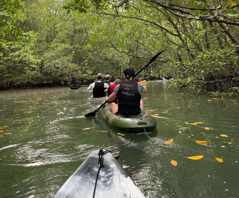 Small Group, Big Heart: Kilim Karst Mangrove Kayak Adventure - Lunch at the floating fish farm hub