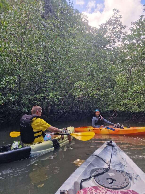 Small Group, Big Heart: Kilim Karst Mangrove Kayak Adventure - The guide makes the difference