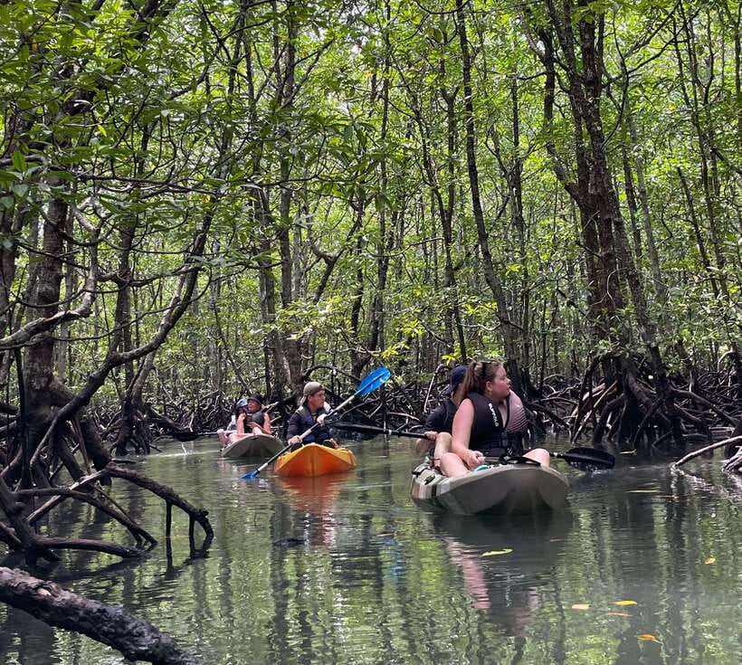 Small Group, Big Heart: Kilim Karst Mangrove Kayak Adventure - Who should book, and who should skip it