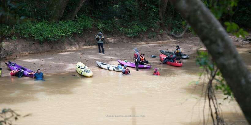 Sungai Berang Wildlife & Cultural Kayak Tour - Who will enjoy this river trip most