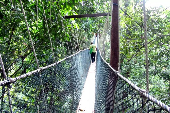 Taman Negara Day Tour with Canopy Walk - Walking up Teresek Hill