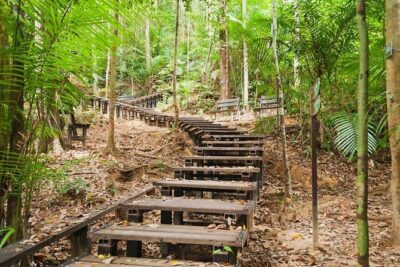 Taman Negara Day Tour with Canopy Walk