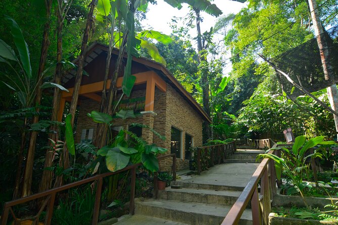 Taman Negara Day Trip from Kuala Lumpur with Lunch - Key things to know before booking