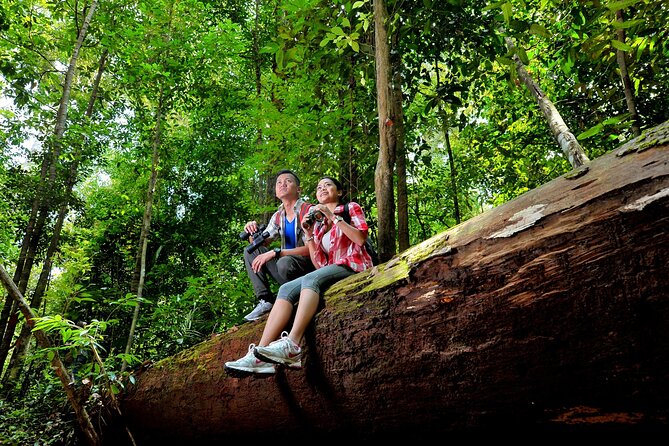 Taman Negara Day Trip from Kuala Lumpur with Lunch - What the six hours in the park really give you
