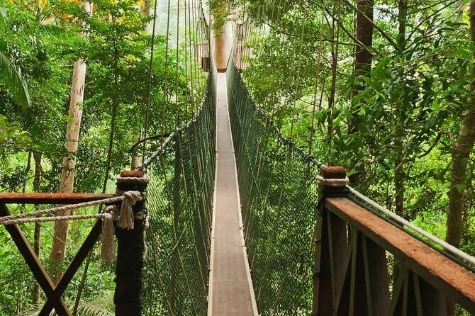 Taman Negara National Park Day Excursion from Kuala Lumpur PVT - Why Taman Negara makes a worthwhile day trip