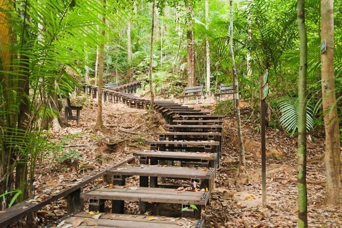 Taman Negara National Park Day Excursion from Kuala Lumpur PVT - Rapid shooting and the river ride