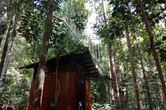 Taman Negara National Park Day Tour (SIC - Join In Tour) - The long road from Kuala Lumpur to Kuala Tahan