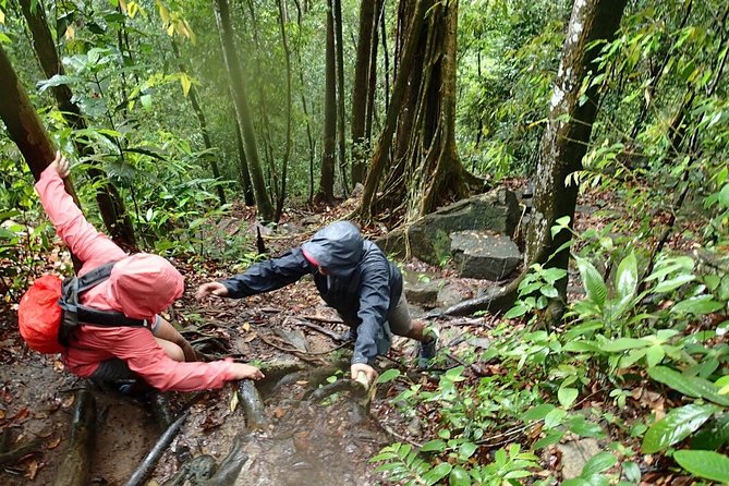 Templer Park and Kanching Waterfall Tour with Batu Caves Stopover - The private vehicle changes the experience