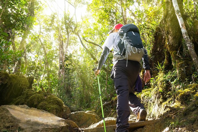 Templer Park and Kanching Waterfall Tour with Batu Caves Stopover - Timing, pace, and what to bring