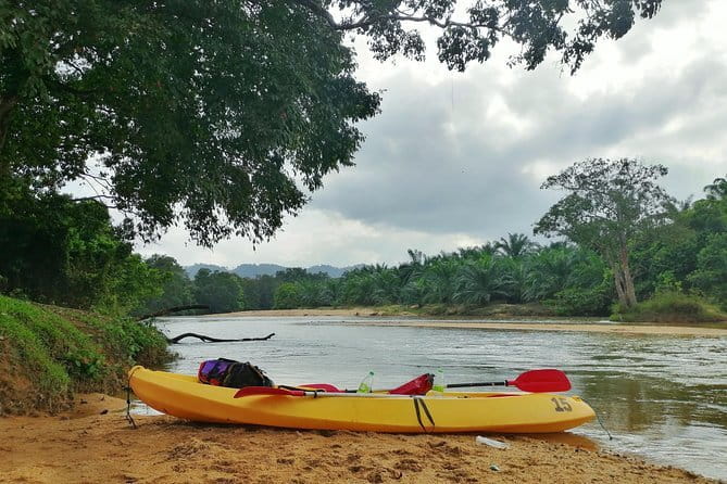 Terengganu Wildlife Kayak Tour - Why Sungai Berang makes a good wildlife paddle