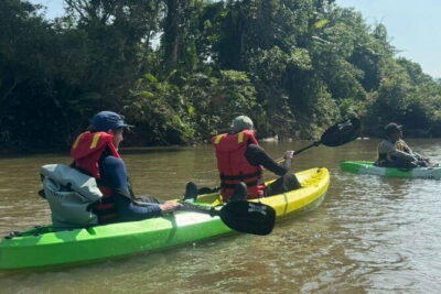 Terengganu Wildlife Kayak Tour