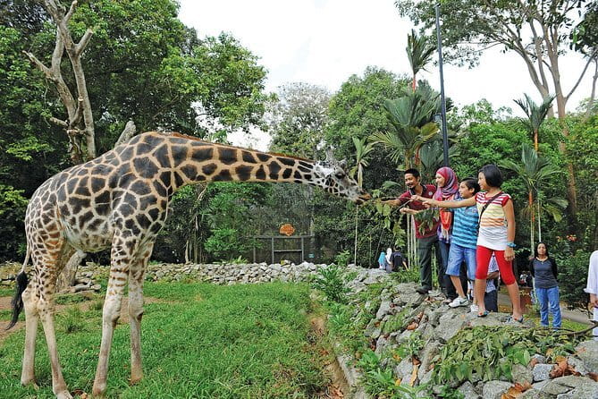 Terengganu Wildlife Kayak Tour - The animals you might see along the banks