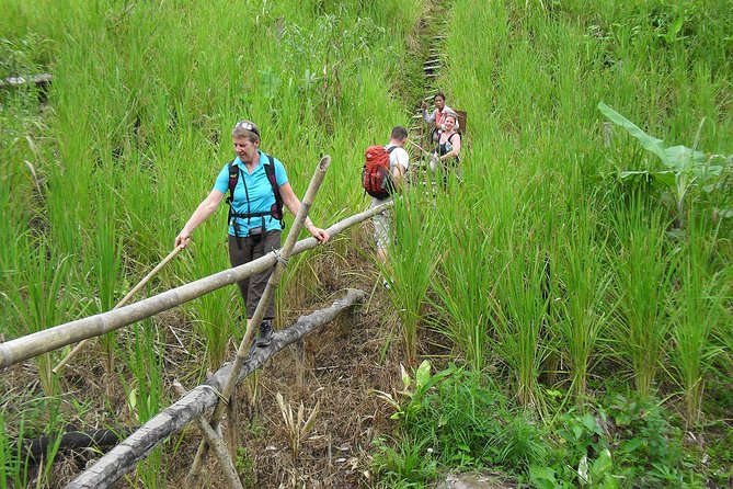 Traditional Bidayuh Village Bamboo Longhouse Tour - The 45-minute journey from Kuching