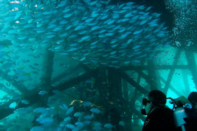 TRY SCUBA (non diver) - Mataking Island: a second chance to settle in
