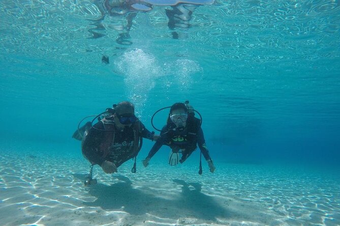 TRY SCUBA (non diver) - Snorkeling after the scuba sessions