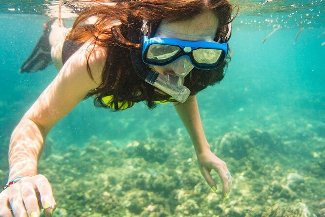 Tunku Abdul Rahman Park 2 Islands Hopping Tour from Kota Kinabalu - Snorkeling expectations and sea conditions