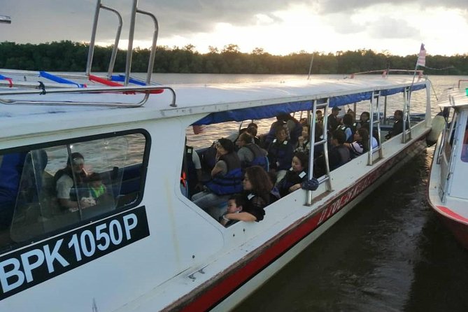 Twinkling Kuala Selangor Firefly Boat Tour from Kuala Lumpur - Why the fireflies make this long outing worthwhile