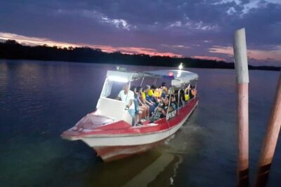 Twinkling Kuala Selangor Firefly Boat Tour from Kuala Lumpur