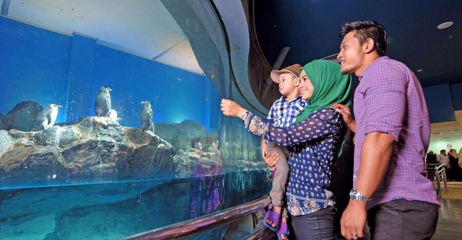 Underwater World Langkawi Admission Ticket - Starting at the 600,000-liter tunnel